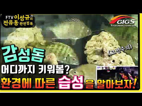 [FTV 이성규의 <strong>전유동</strong> 완전 정복 15]