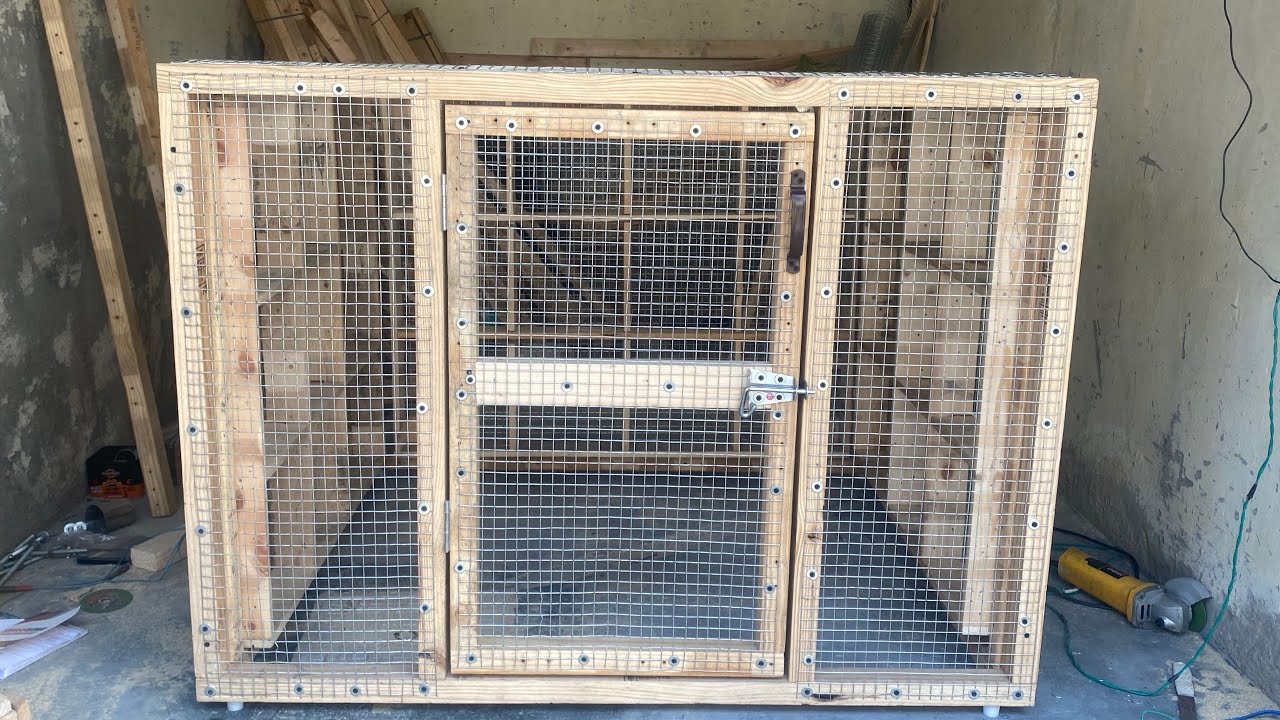 30 kabootar ka jal foldable #birds #classicwood #pigeon #viral #Rijwanpatwasvala 