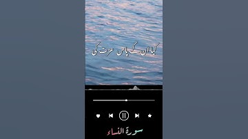 سورة النساء بصوت القاري حماد حسين  #qarihammadpilloor #dubai