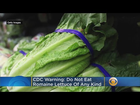 CDC Warning: Do Not Eat Any Romaine Lettuce