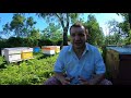 #бджільництво #переселення_бджіл #система_Рута Позитивний досві переселення бджіл на систему Рута