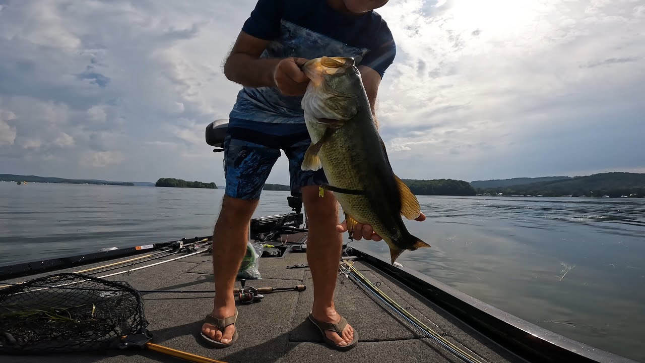 July 2024 Lake Guntersville Bass Fishing Report. Temps are hot. The topwater bite is hotter!