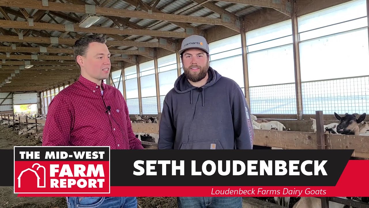 Loudenbeck Farms Dairy Goats