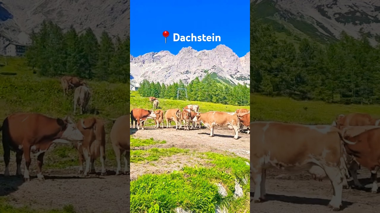 Places that feels Unreal in Austria 😱 