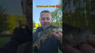 Endlich geht's wieder auf die Räuber #angeln #spinnfischen #barschangeln