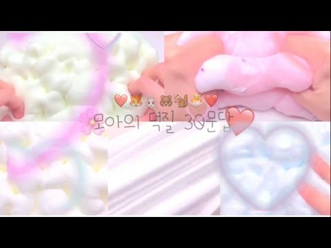 신입 모아의 덕질 30문답❤️ 두밧두와리와리~~🦊🐰🐻🐿🐣
