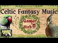 Gamer birb  celtic medieval fantasy music mix for birds  parrot tv for your bird room