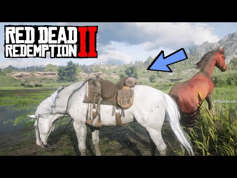 Самая редкая новая лошадь в RDR 2 | Аппалуза малопятнистая