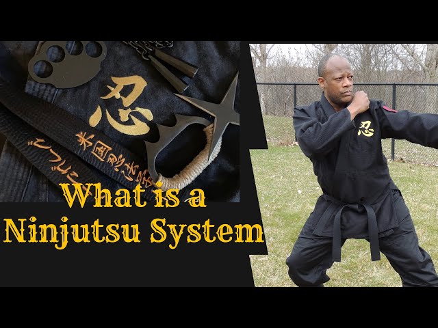 Complete Ninjutsu Training Program Details - YouTube