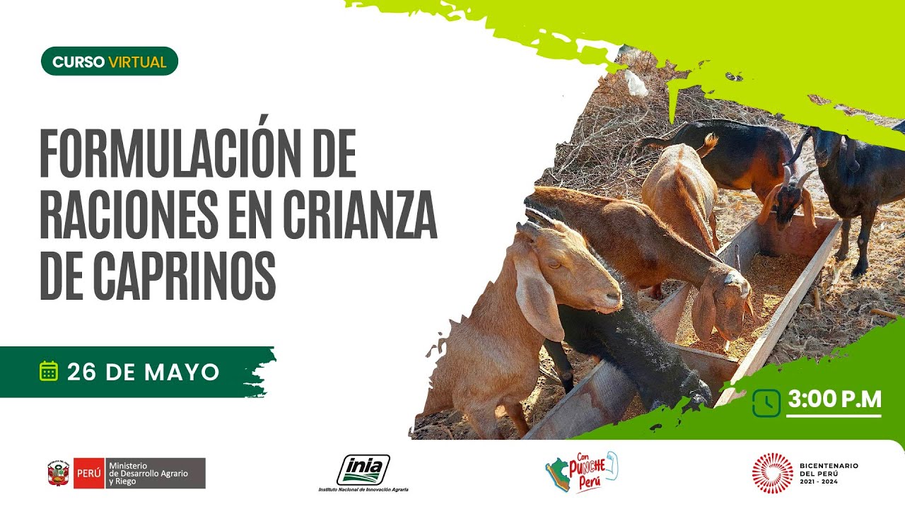 Formulación de raciones en crianza de caprinos