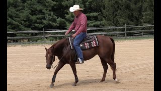 Softening and Steering By Limiting Your Horses Bend - Episode 70 (Herm Gailey)