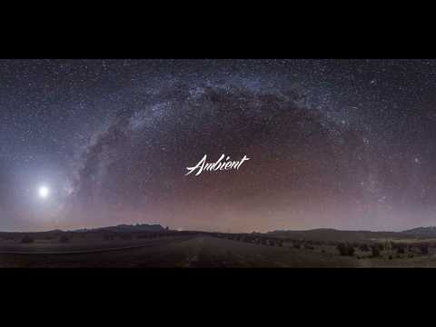 Vijay van der Weijden - Questions