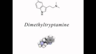 Dimethyltryptamine - Hallucinogenic dialectic