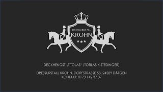 Deckhengst Titolas Totilas X Stedinger