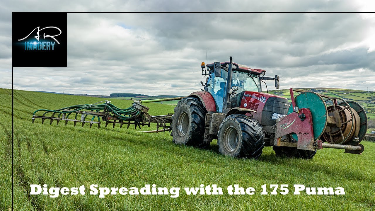 Montgomery Contracts Spreading Digest