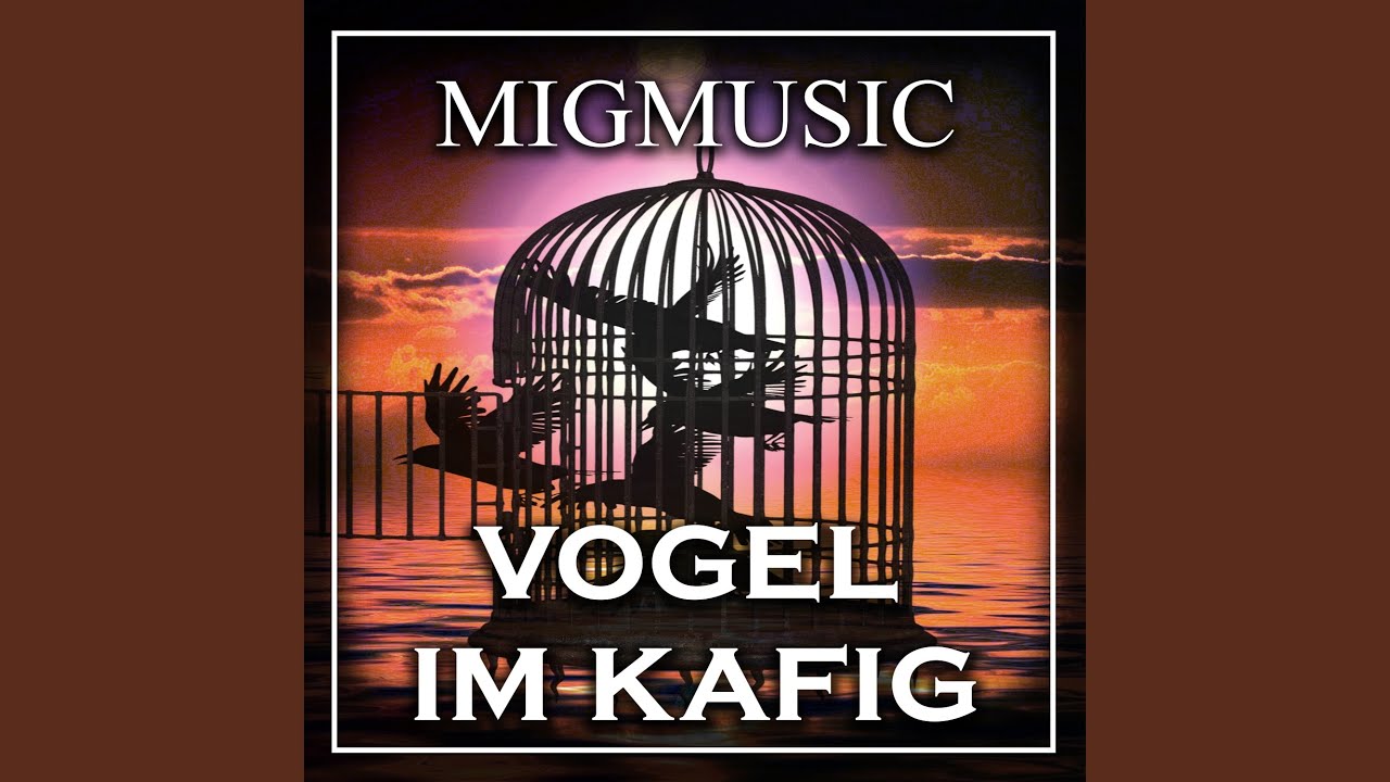 Vogel Im Kafig YouTube