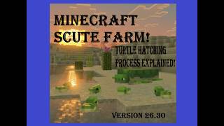 Big Scute Farm TUTORIAL | Minecraft Bedrock Version 26.30 | Turtle Hatching Process Explained!