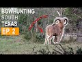 An UNEXPECTED GUEST: Weekend in 5 | South Texas Deer Hunting EP. 2