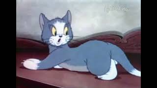 Tom And Jerry Puss Oets The Boot French 1940