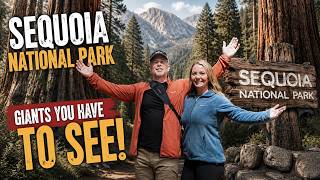 We Finally Saw the World’s Largest Tree! 🌲 | Sequoia National Park
