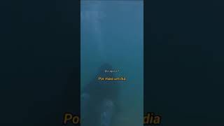 Mateca - Obrigado Senhor (Status/Storys/Letra)