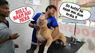 Bully👺 ka bath 🛁 went wrong ❌️😑.. Ab kabhi bahar leke nhi jaunga 🤧    #amanandbully #pitbulldog