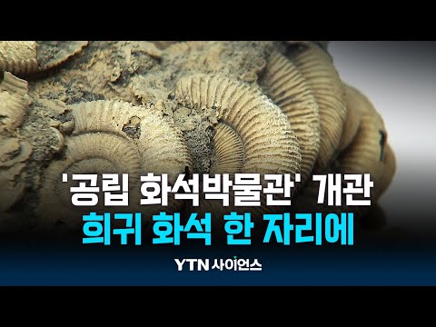 공룡 알·삼엽충 직접 본다...첫 &amp;#39;공립 화석박물관&amp;#39; 대구 달성에 개관 | 과학뉴스 24.10.17
