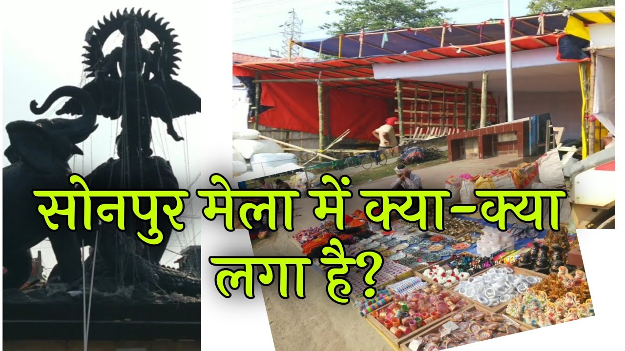 Sonpur mela laga hai? Sonpur mela 2021 