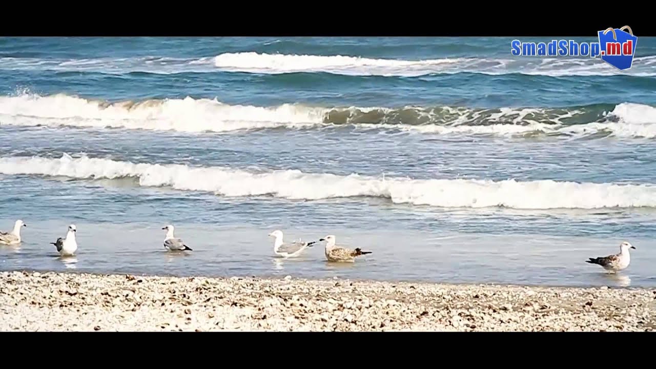 ⁣Курорт Мамая, Румыния