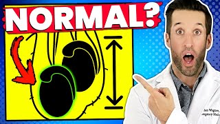 Er Doctor Reacts To Your Most Embarring Medical Questions From Discord