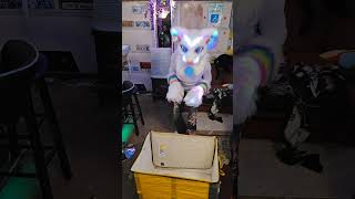 I got in the box! #getin #furry #doublemeaning #catfursuit