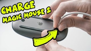 How to Charge Your Apple Magic Mouse 2