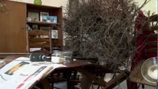 The Living Room (trailer) // BIEFF 2012