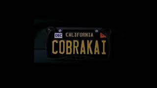 Cobra Kai /Immortals