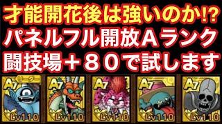 【ドラゴンクエストタクト】Ａランク枠の才能開花キャラは強いのか⁉︎闘技場＋８０攻めで試していきます！！