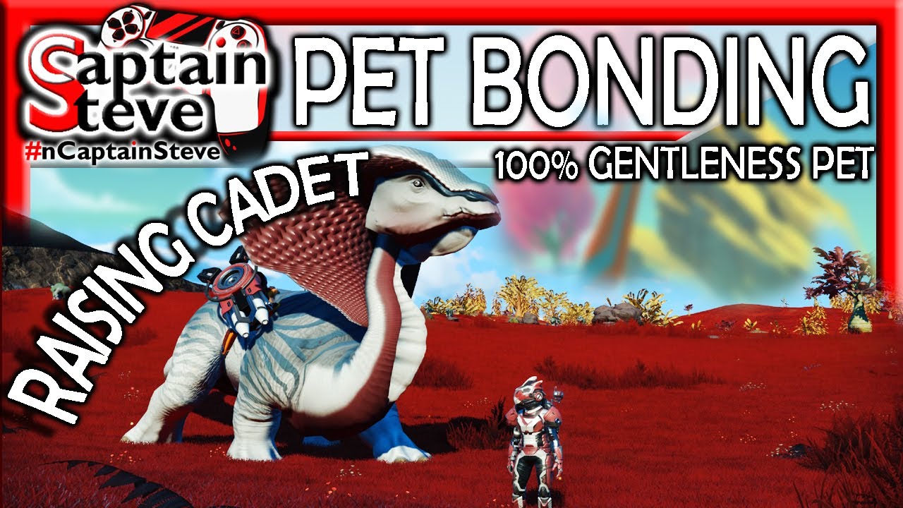 No Man's Sky Companions Update Bonding With Pets Max Gentleness Captain Steve NMS PS5 Gameplay