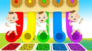 Bingo Song + Baby shark - Learn Vehicle names and color slide play - Nursery Rhymes & Baby Songs