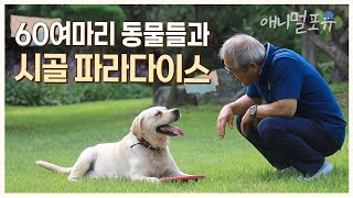 치열한 도시의 삶을 내려놓고 시골로 와 60여 마리 동물들과 낙원을 꾸린 부부 | KBS 반려동물극장 240329 방송