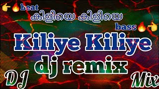 Kiliye Kiliye Dj Songmalayalam Dj Remix Songdj Song
