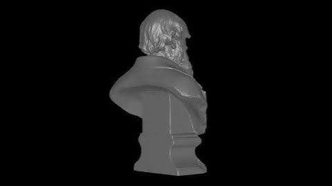 Darwin Making Challenge : 3D laser scan by Mona Hess/ UCL Engineering #DarwinorBust