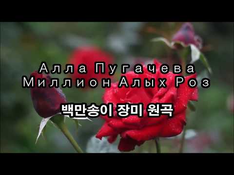 백만송이 장미 원곡 Алла Пугачева - Миллион алых роз (Словакия, октябрь 1983 года)