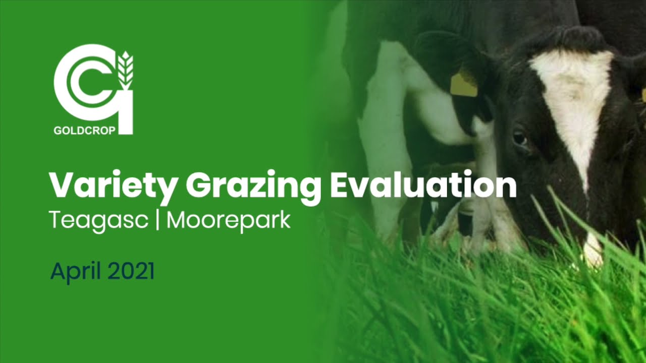 Goldcrop | Moorepark Visit | April 2021