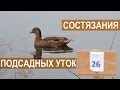 Межрегиональные состязания подсадных уток