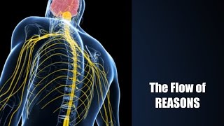 Follow the Flow of Reasons