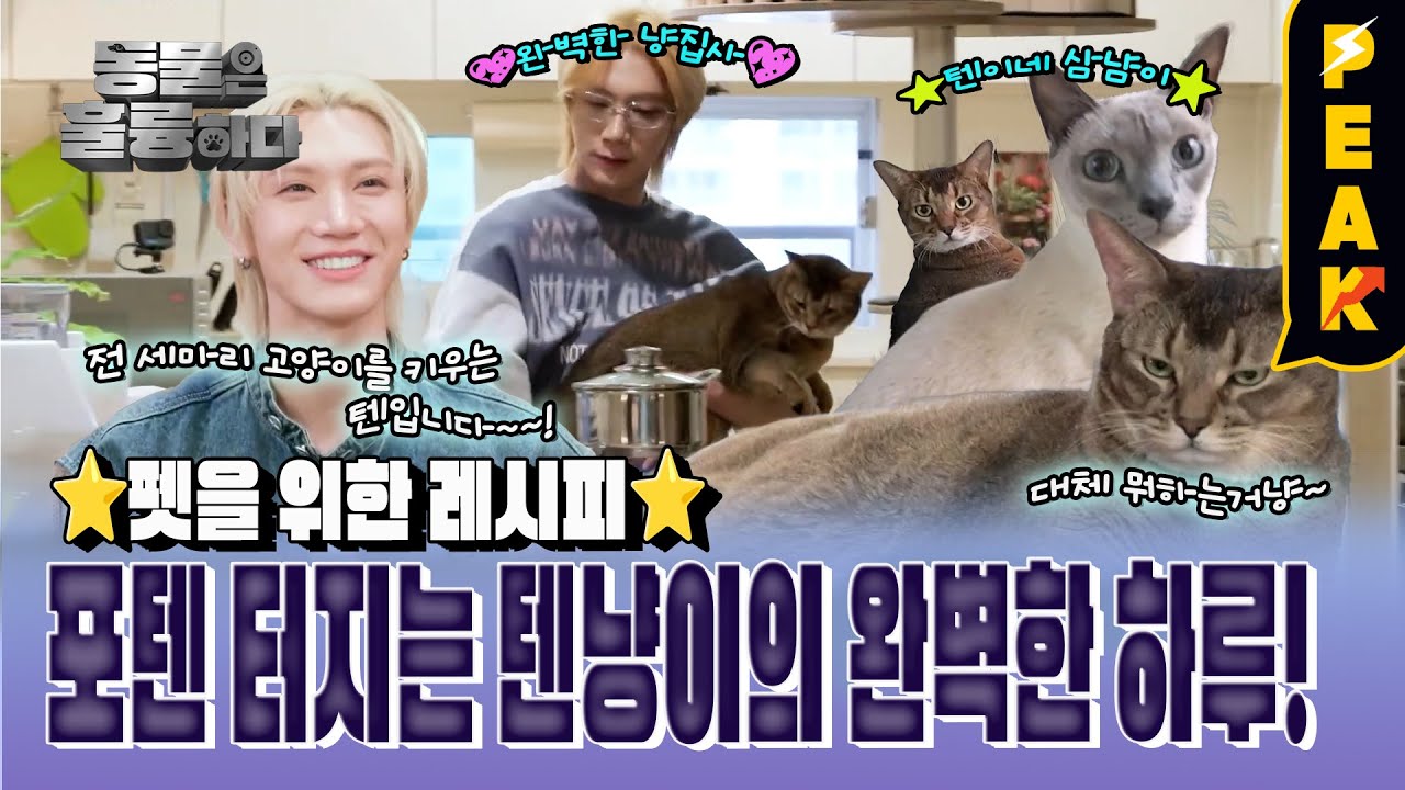 [#피크타임] 텐 집사와 못 말리는 반려묘 리언의 우당탕탕 요리시간🐈 | #동물은훌륭하다 | KBS 250310 방송
