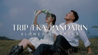 Trip Eka Pandarin Slowed & Reverb