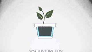 Plant Bright - Concept Prototype