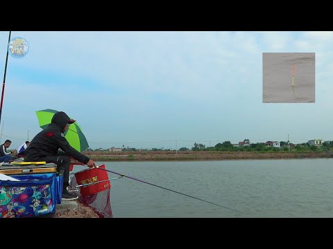 GIẢI CÂU THI CLB CÂU CÁ THÁI BÌNH