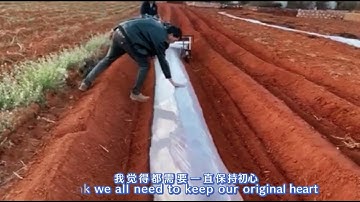 AW-M model mulch layer machine work video