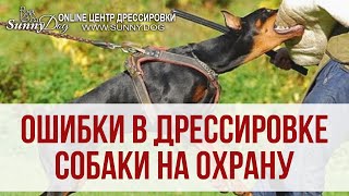 Ошибки владельцев в дрессировке собаки для охраны. Как научить собаку защите? Ошибки владельцев в дрессировке собаки для охраны. Как научить собаку защите?